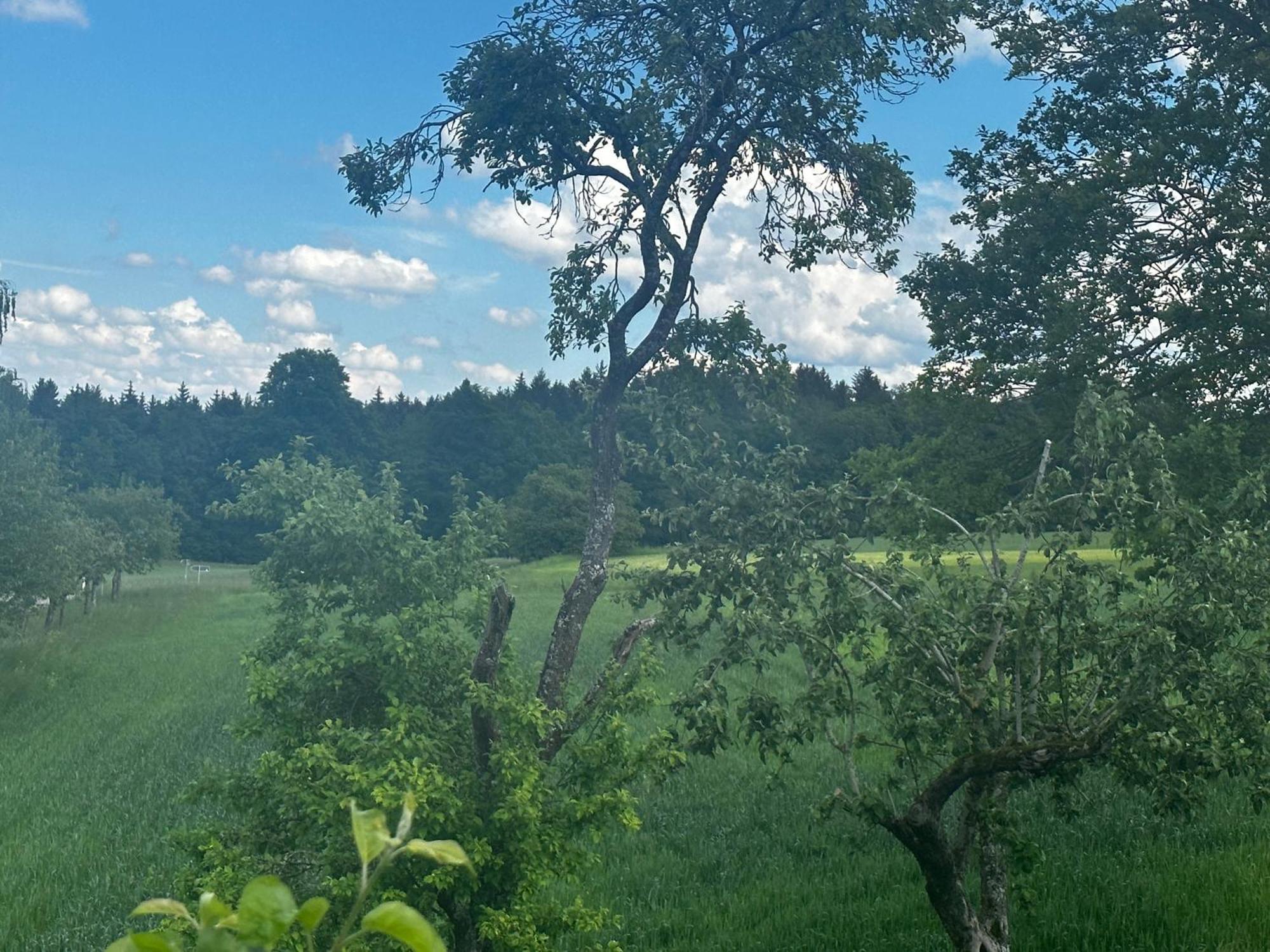 Oberrot Ferienunterkunft Schwaebischer Wald מראה חיצוני תמונה